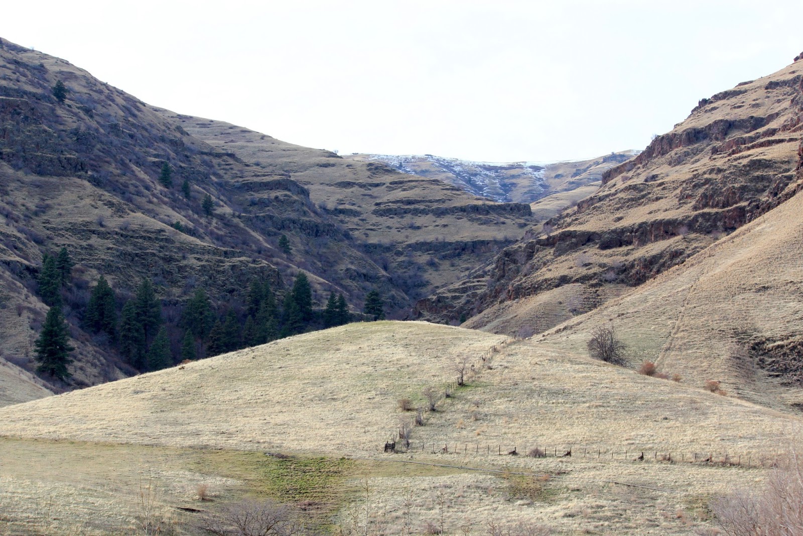 Within My Focus Visit to the "Banana Belt" of Wallowa County in winter