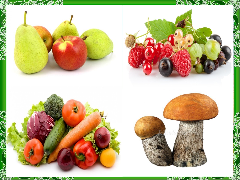 И овощ и ягода 4. Овощи и грибы. Овощи фрукты грибы. Овощи, фрукты, ягоды. Грибы и ягоды.