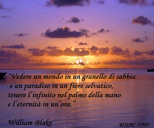 AFORISMA DEL GIORNO SULLA VITA visual data 3