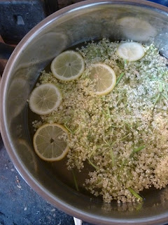 Picture of a pan containing elderflowers, lemon, sugar, citric acid and water