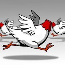 KTemoc Konsiders.....: Nurul Izzah a 'headless chook'?