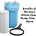 Benefits of Having a Whole-House Water Filter at Home