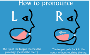 POSITION OF TONGUE WHILE PRONOUNCING L AND R IMAGE