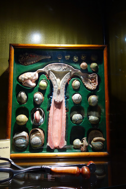 The Musée d'Histoire de la Médecine in Paris: a unique showcase of