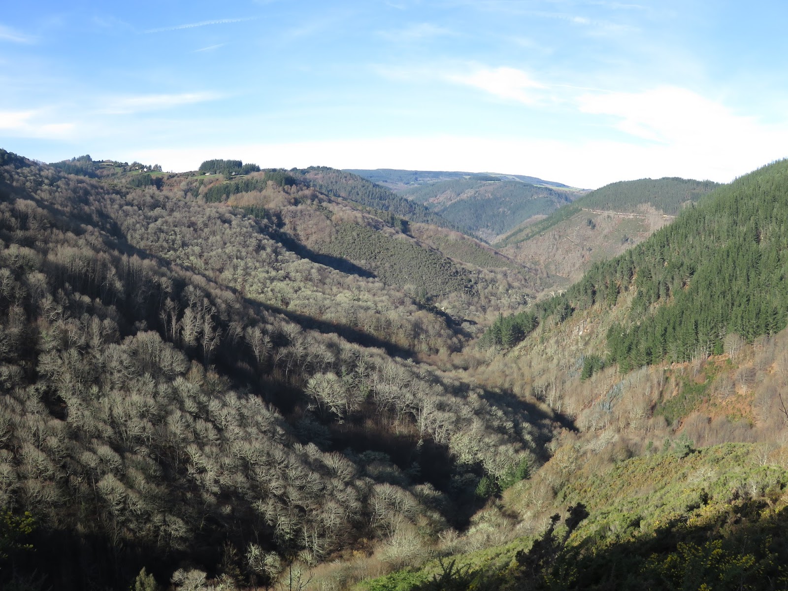 VEIGA DE LOGARESA FONSAGRADALUGO LIC DE CARBALLIDO A FONSAGRADA