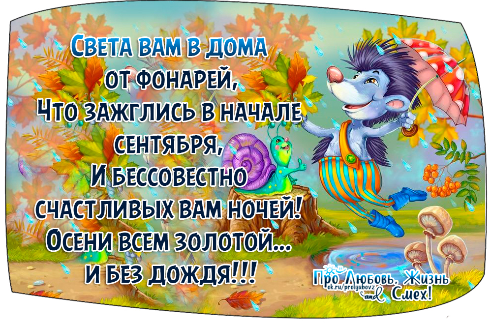 ходить по лесу с ножом. без хандры. осени вам теплой без дождей без хандры депрессии и скуки. способы избавления от осенней хандры. осенняя хандра картинки.