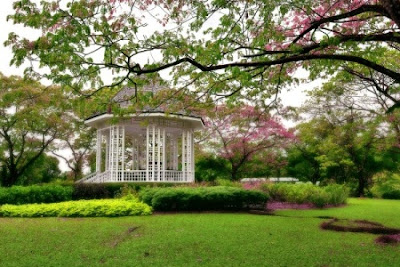 Singapore Botanic Gardens