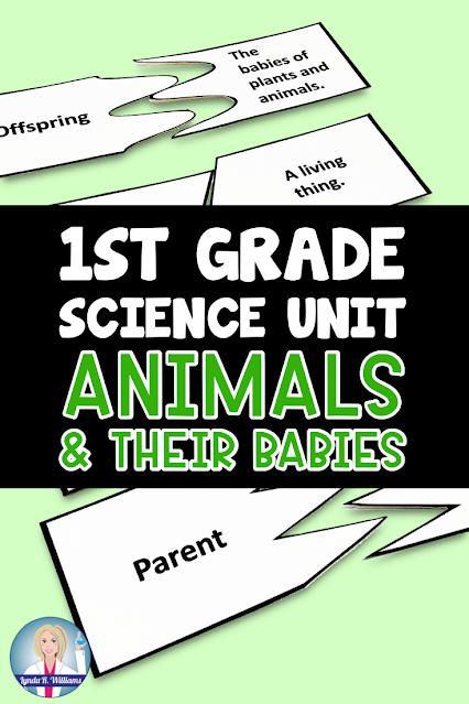 Animals and Their Babies First Grade Unit