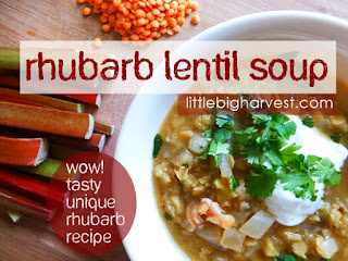 http://www.littlebigharvest.com/2015/05/rhubarb-lentil-soup.html