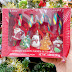 HỘP 5 KẸO GẬY CHERRY CANDY CANES WITH JELLY NOEL VÀ GUMMIES 