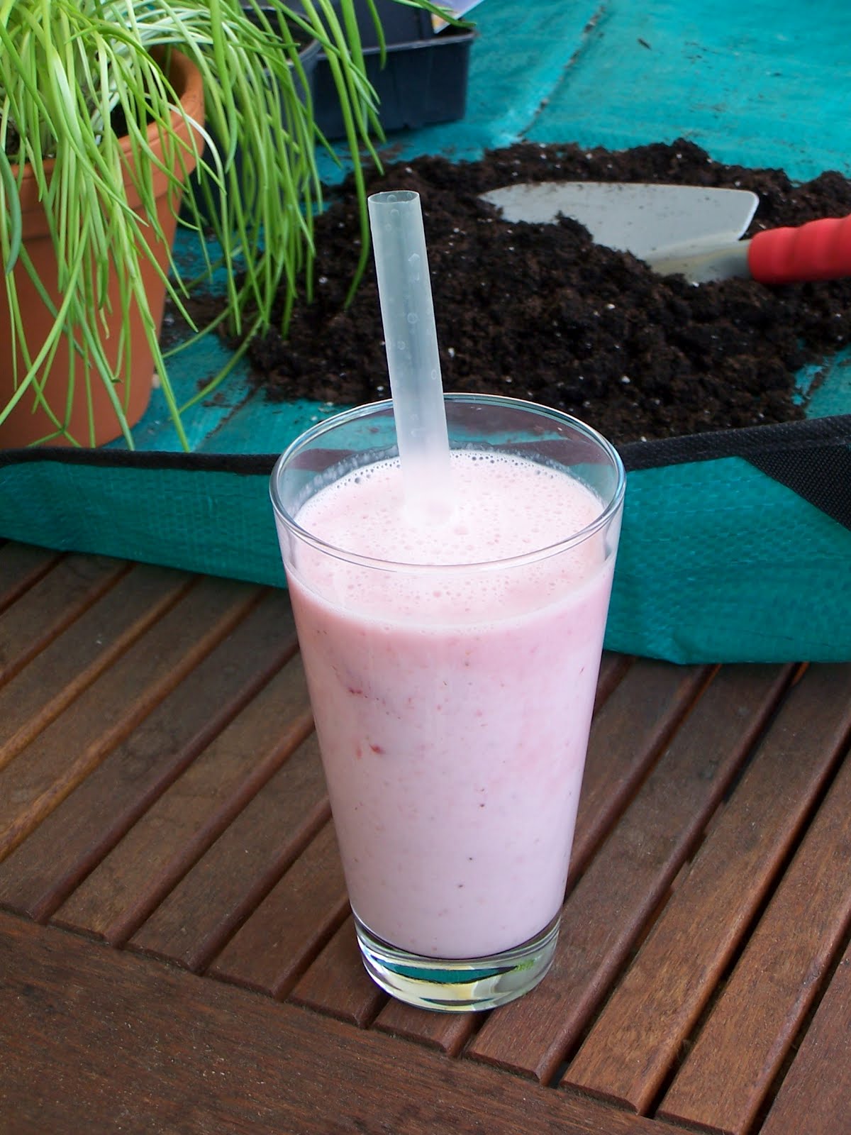 Erdbeer-Joghurt-Shake - Rezepten