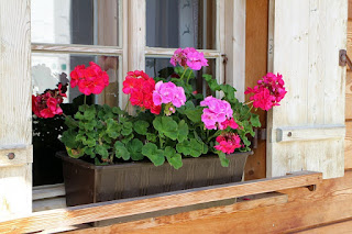 Holzkohlegrills Elektrogrill Blumenkasten Befestigen Ohne Bohren