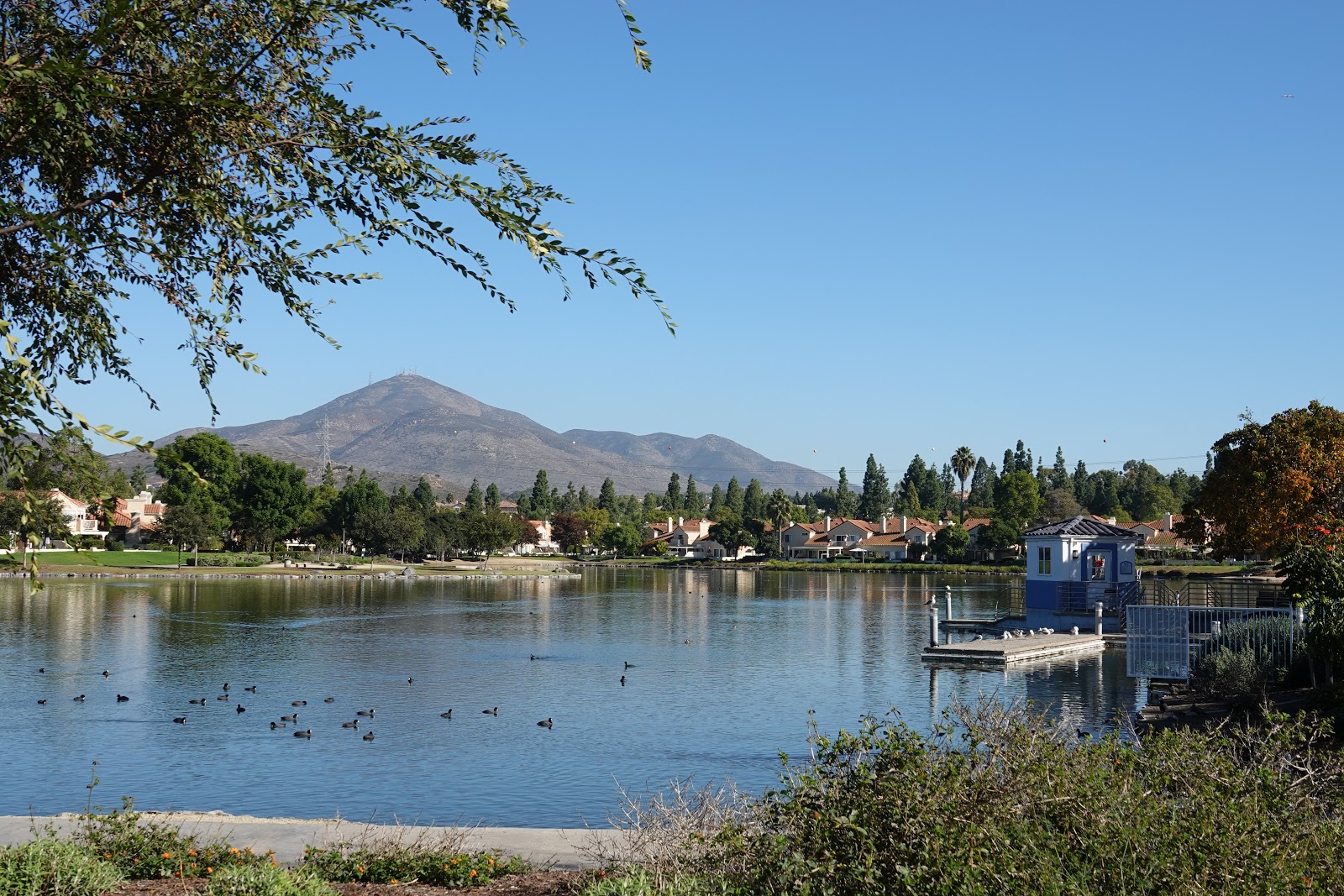 Looking for Lakes Eastlake