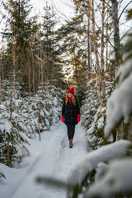 Rundweg Kreuzotter | Hochmoor Filzwald / Kloster Filz | Nationalpark Bayerischer Wald 14