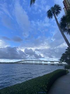 Wild Blue Yonder