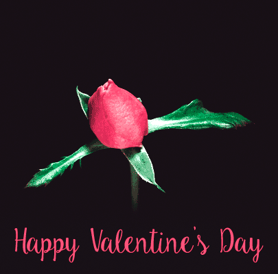 animated GIF image of valentine day happy valentines day my friend images valentine day wishes images download cute images of valentines day valentine cards images download images on happy valentines day valentine wishes images download valentines day wishes images valentines day images happy valentines day images valentines day images for lovers valentine images valentine images for lovers lovers day imageshappy kiss day images
