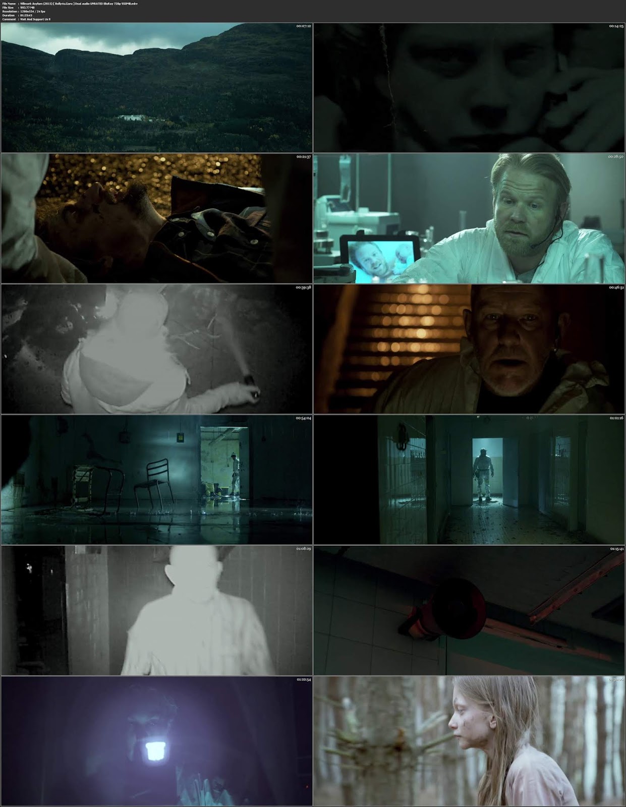 Villmark Asylum 2015 BRRip 300MB UNRATED Hindi Dual Audio 480p Download Villmark Asylum 2015 BRRip 300MB UNRATED Hindi Dual Audio 480p Download