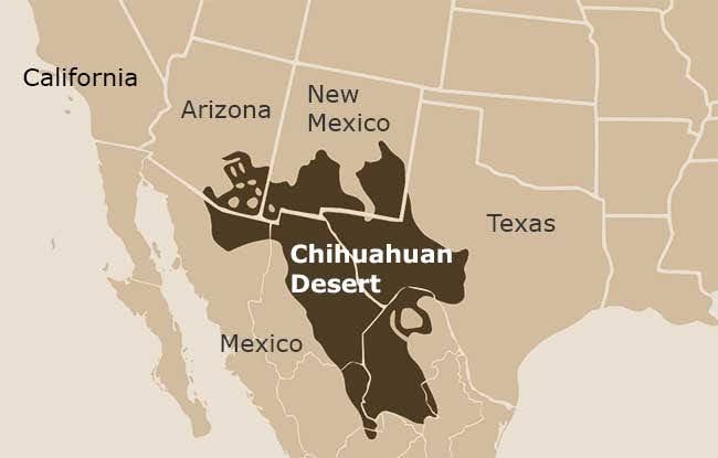 My Two Schillingsworth: Chihuahuan Desert Loop