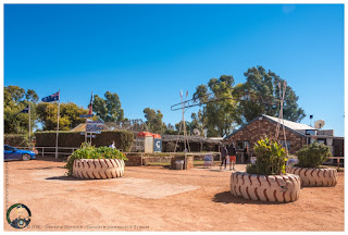 Curtin Springs Curtin Springs