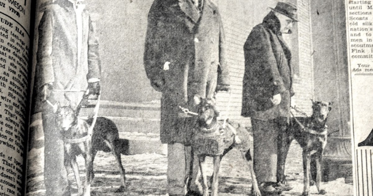 Vintage Johnstown DOGS FOR BLIND 23 February 1943 The Johnstown