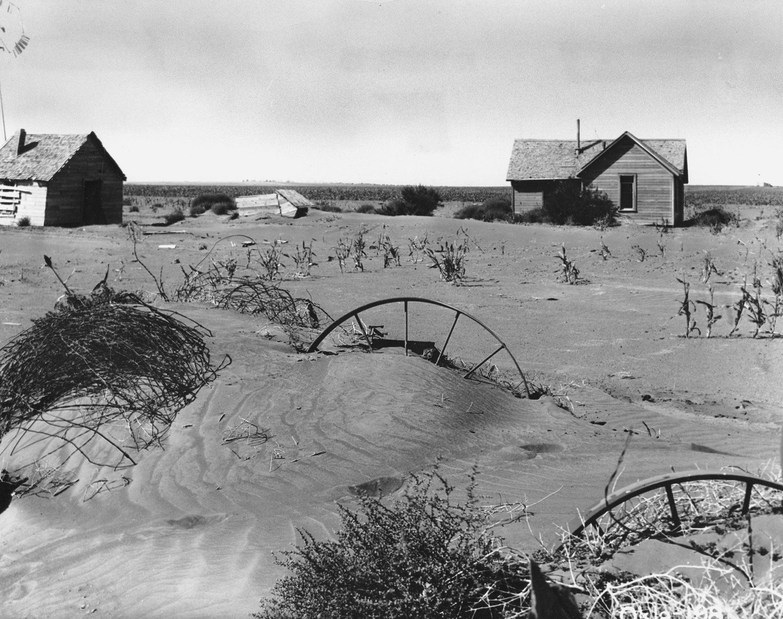 The Grandmas Logbook The Dust Bowl The Big Droughts In North America