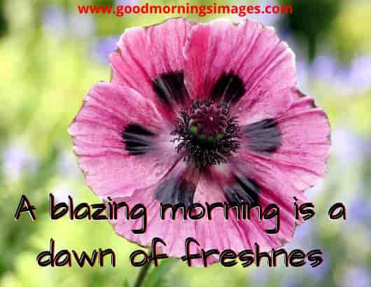 Good Morning Shayari For Her Good Morning Shayari For Her