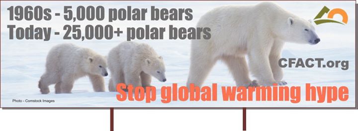 The great warming. Polar Bear population. Глобальное потепление медведь плакат. Коала глобальное потепление.