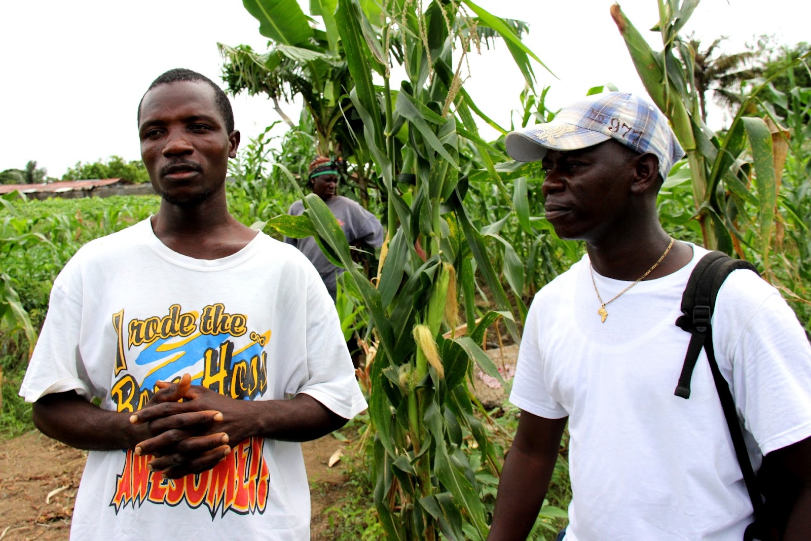 AgriHunt Liberia Agriculture Key to Liberia's Youth Unemployment