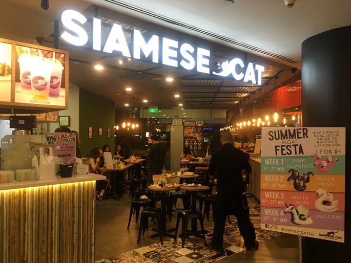 Siamese Cat Cafe