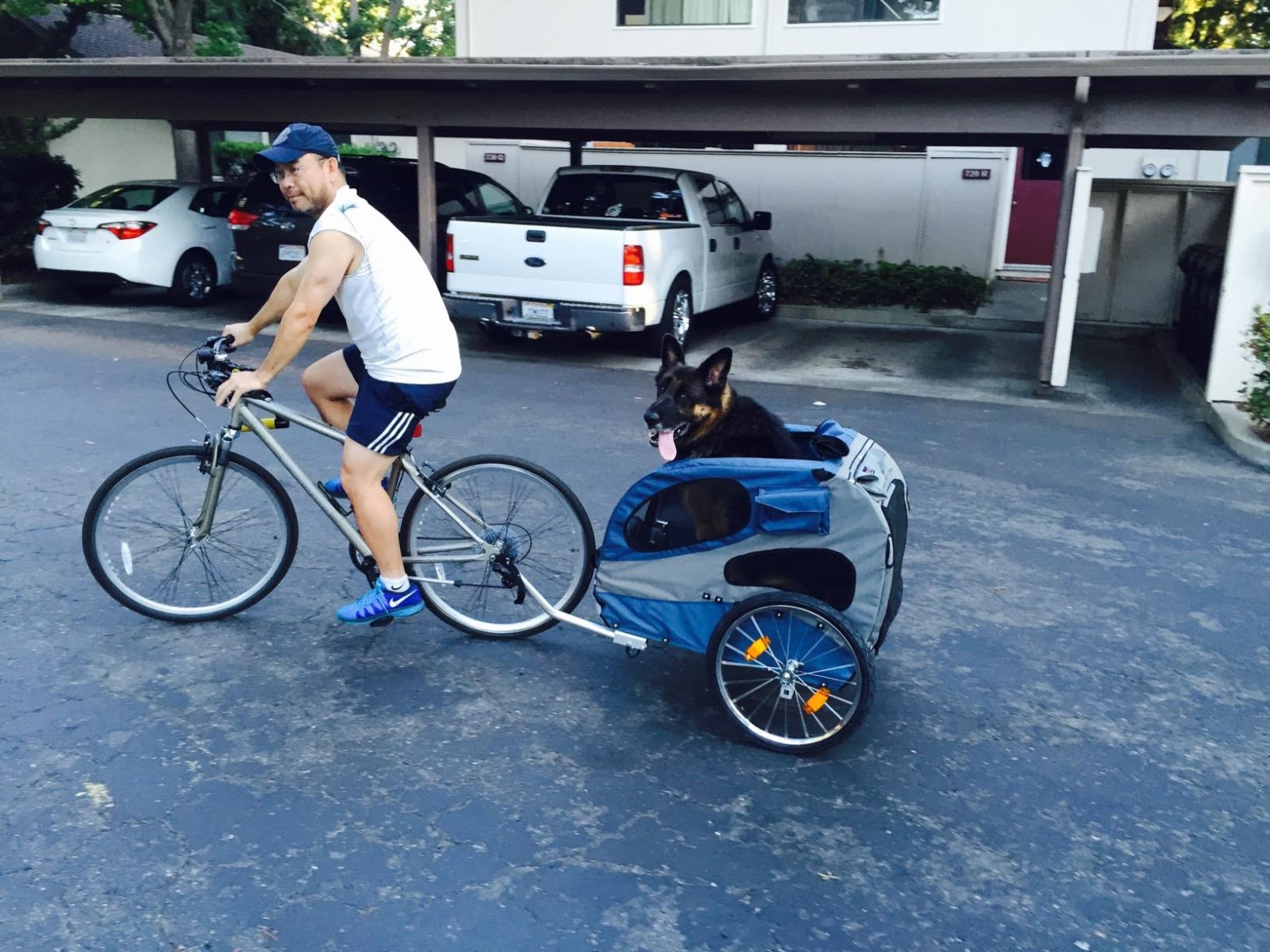 I love My Dog; Natural Pet Health, Pet Gear Roadster Stroller for dogs