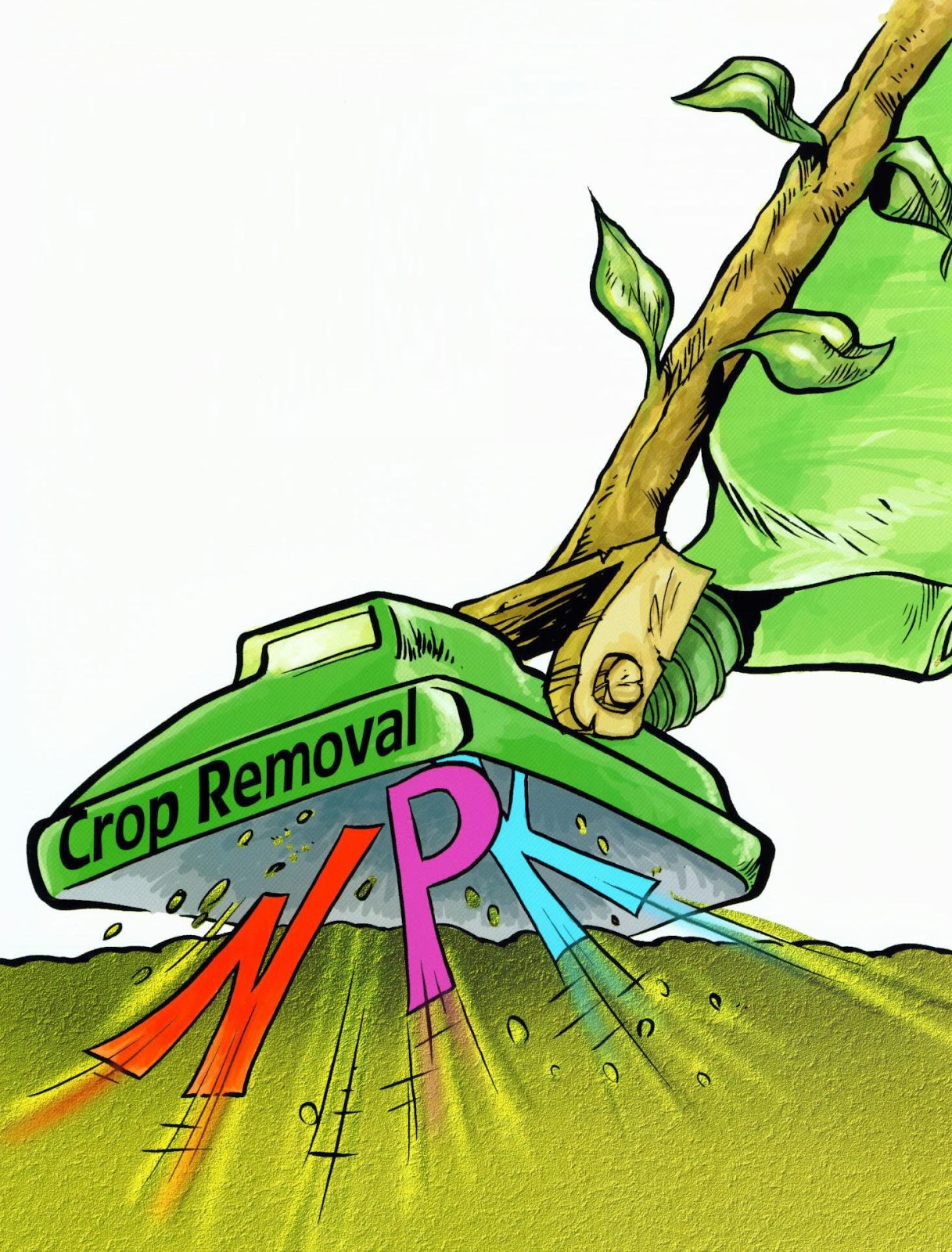 Managing Plant Nutrients Reevaluate your potash application getting