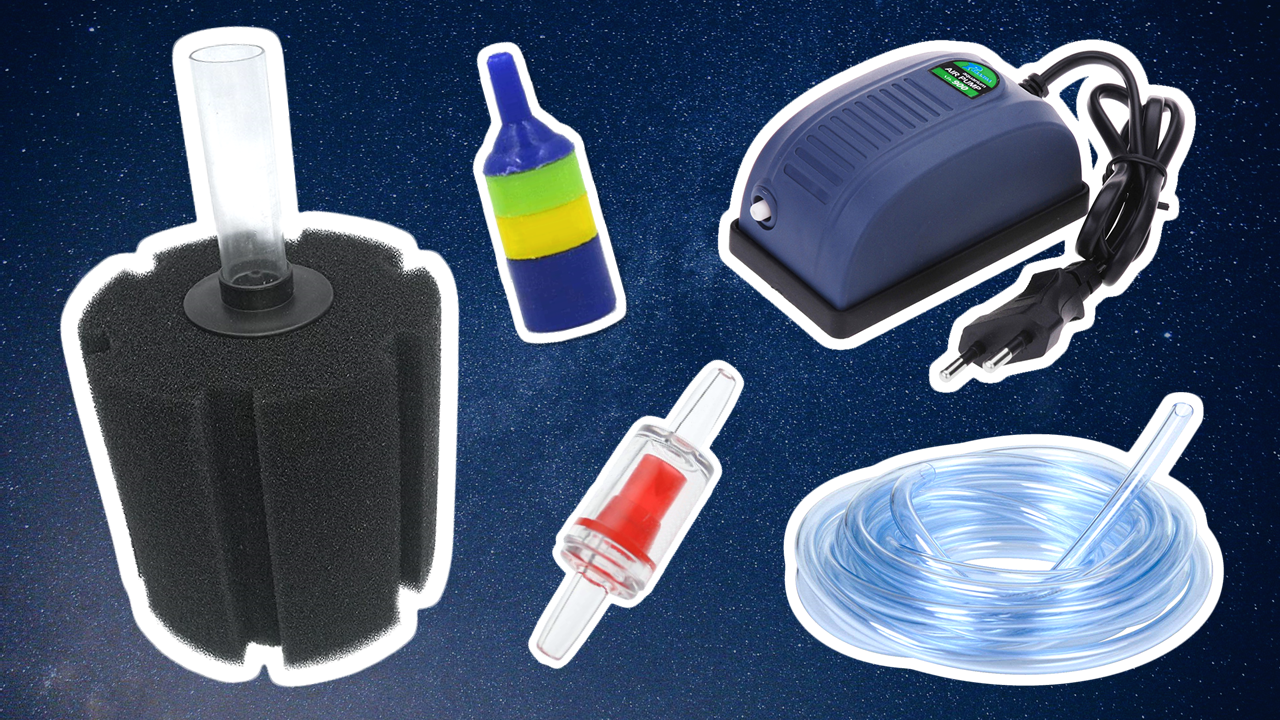 How To Set Up Sponge Filter In Aquarium - Aquarium Views