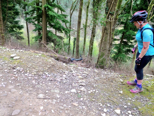 FitBits | Mountain biking in and near Wales | Forest of Dean FitBits | Mountain biking in and near Wales | Forest of Dean
