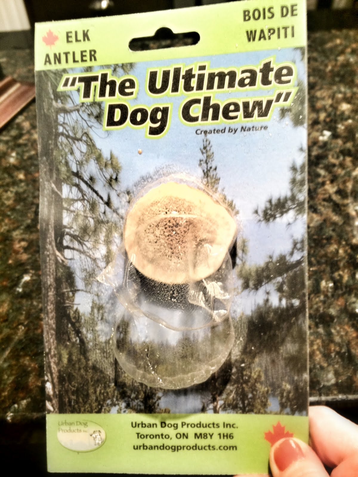 Creating Carrie The Ultimate Dog Chew