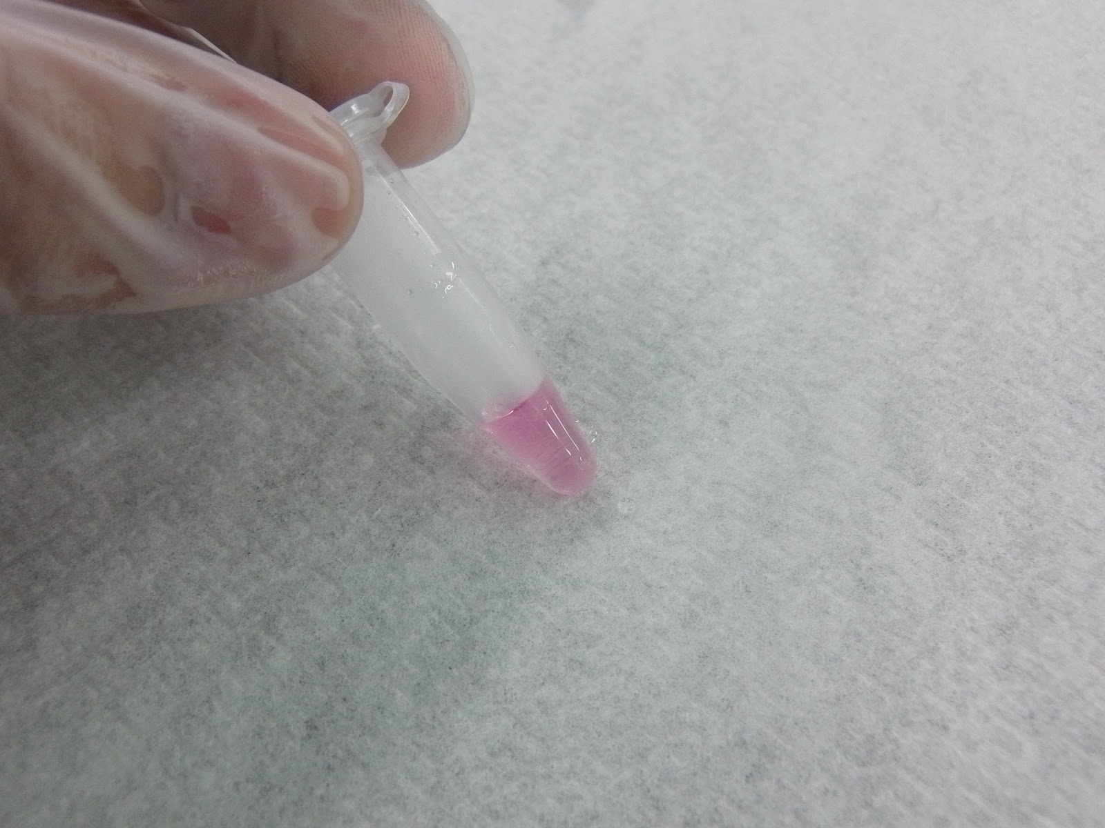 Total Plant RNA IsolationTrizol Reagent Method