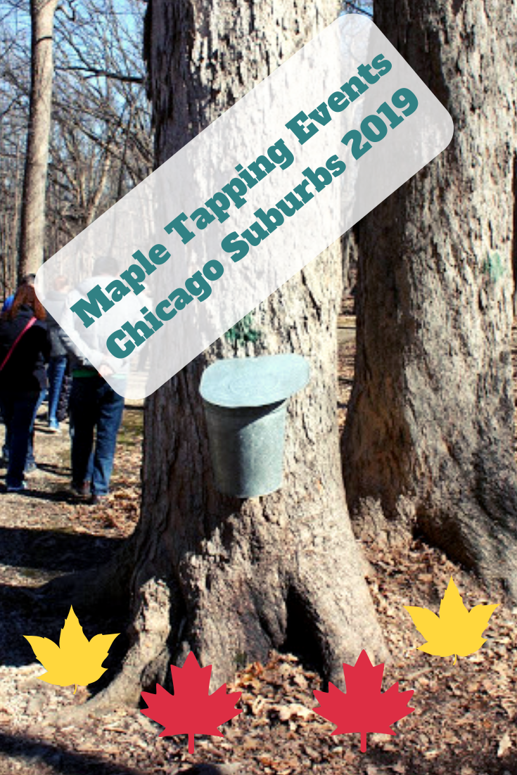 a-little-time-and-a-keyboard-maple-tapping-events-in-chicago-suburbs