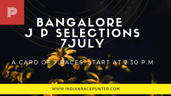 Jackpot Selections by indianracepunter, trackeagle, track eagle, racingpulse, racing pulse