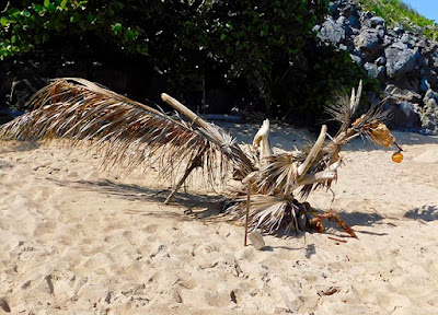 mystical, bliss beach, beach art, creativity, beauty, magic of paya, guests, art, paya bay resort, #payabay, #payabayresort, 