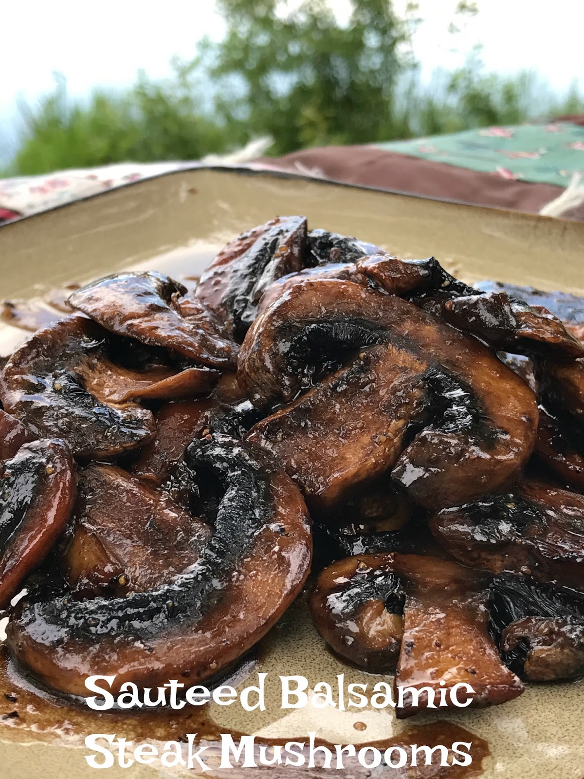 Sautèed Balsamic SteakCut Mushrooms Turnips 2 Tangerines