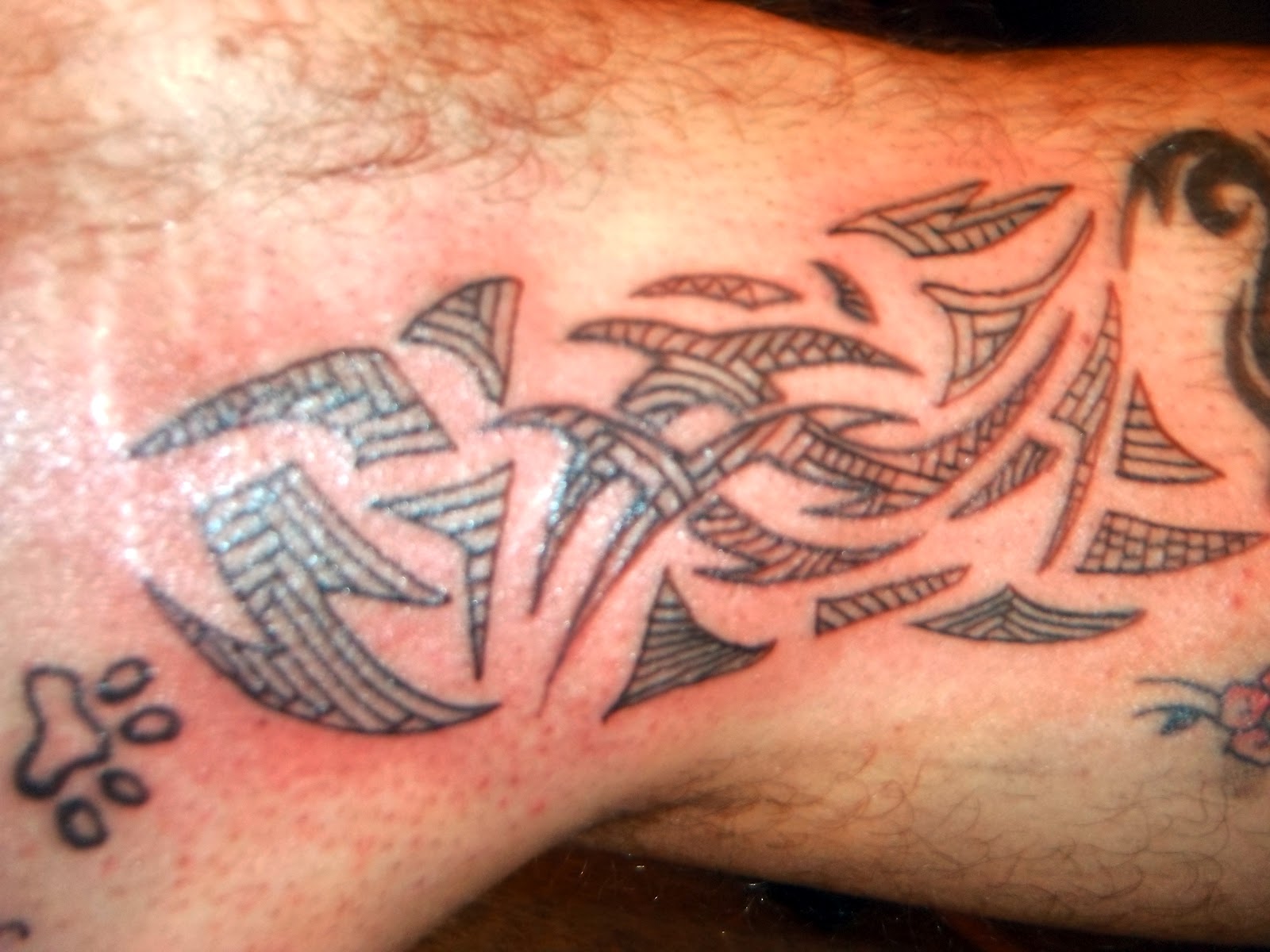 Steve Richings' Tatfolio [Self Tattoo] Mauri Style Leg Tattoo