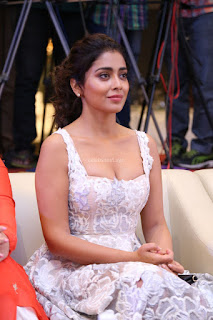 Shriya Sharan in Gorgeous Sleeveless Glittering short dress at Paisa Vasool audio success meet ~  Exclusive Celebrities Galleries 006