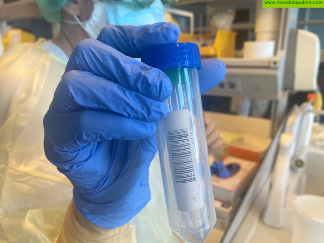 El Cabildo de La Palma ya ha realizado casi 600 test PCR a su personal