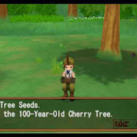 Cara Mendapatkan Power Berry Dan 12 Lokasinya Di Harvest Moon Hero Of Leaf Valley Gamelmit