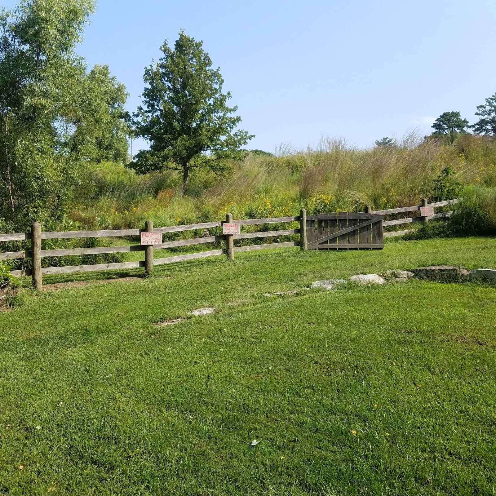 Play St. Louis Shaw Nature Reserve, Gray Summit