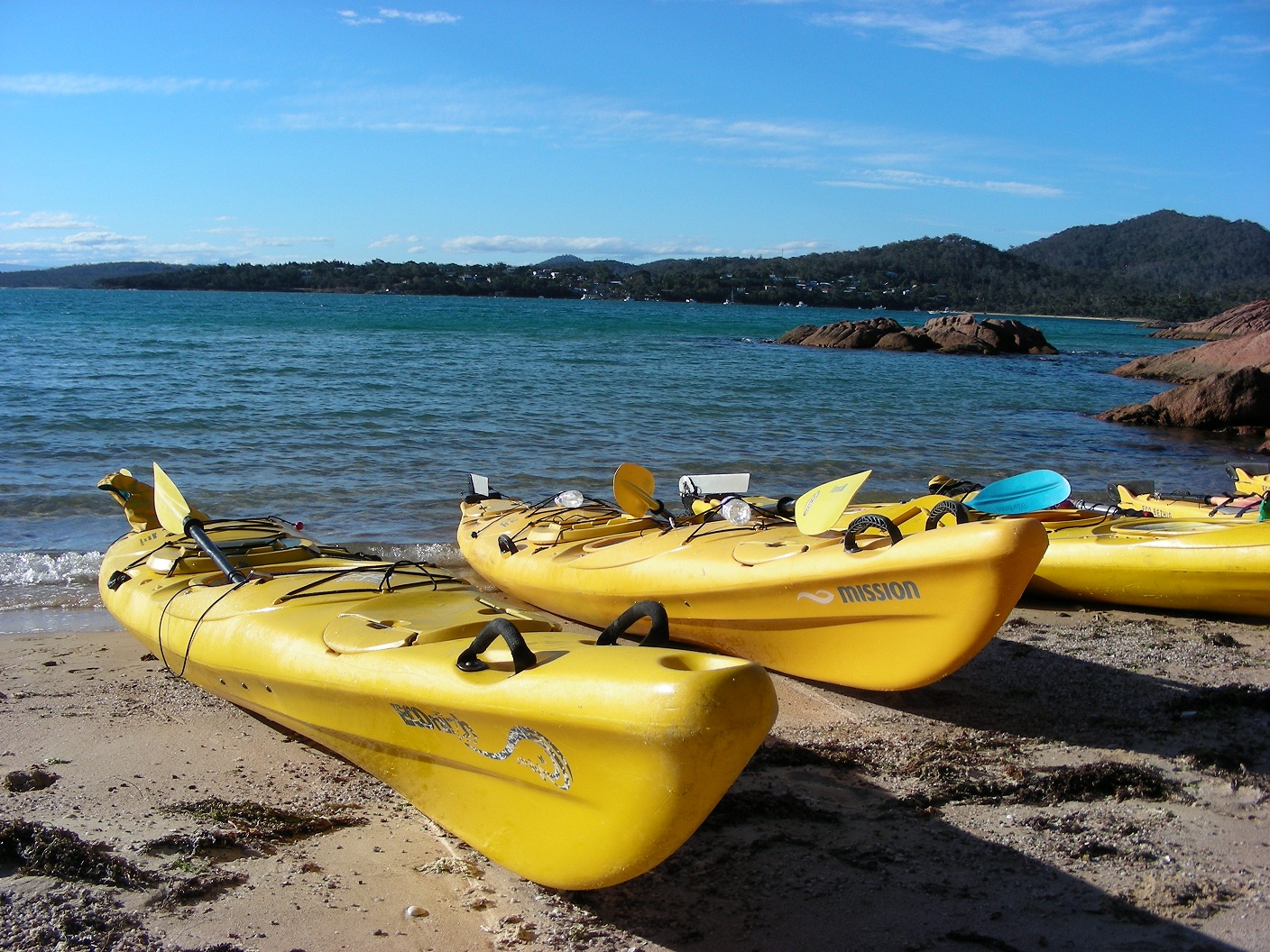 Work Is Over Rated Tasmania Devils, Prisons, Kayaking and Steam trains