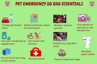 Pet Emergency Go Kit, Emergency Supplies Kit, Disaster Preparedness Kit, Family Emergency Plan