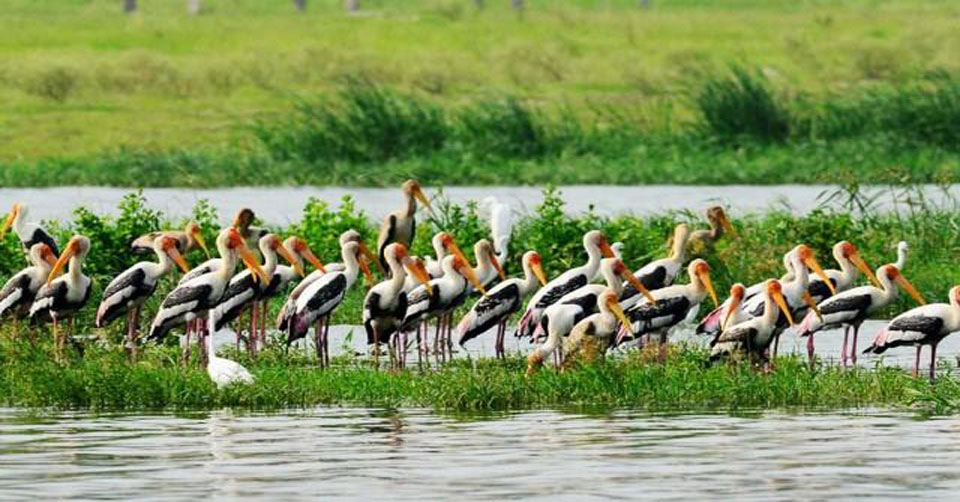 Ameenpur Lake