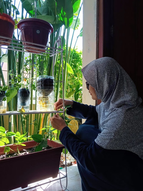 Berkebun di Lahan Sempit