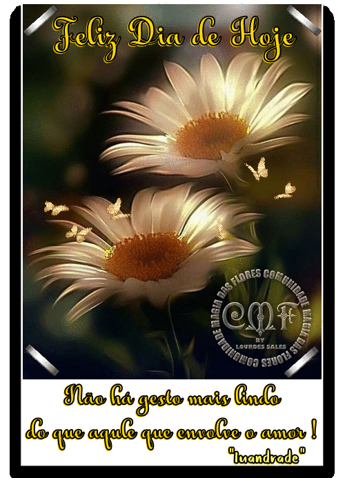 oie_overlay%2B%25284%2529.gif