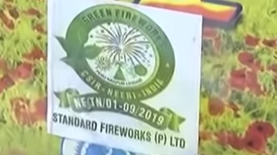 Green firecrackers logo